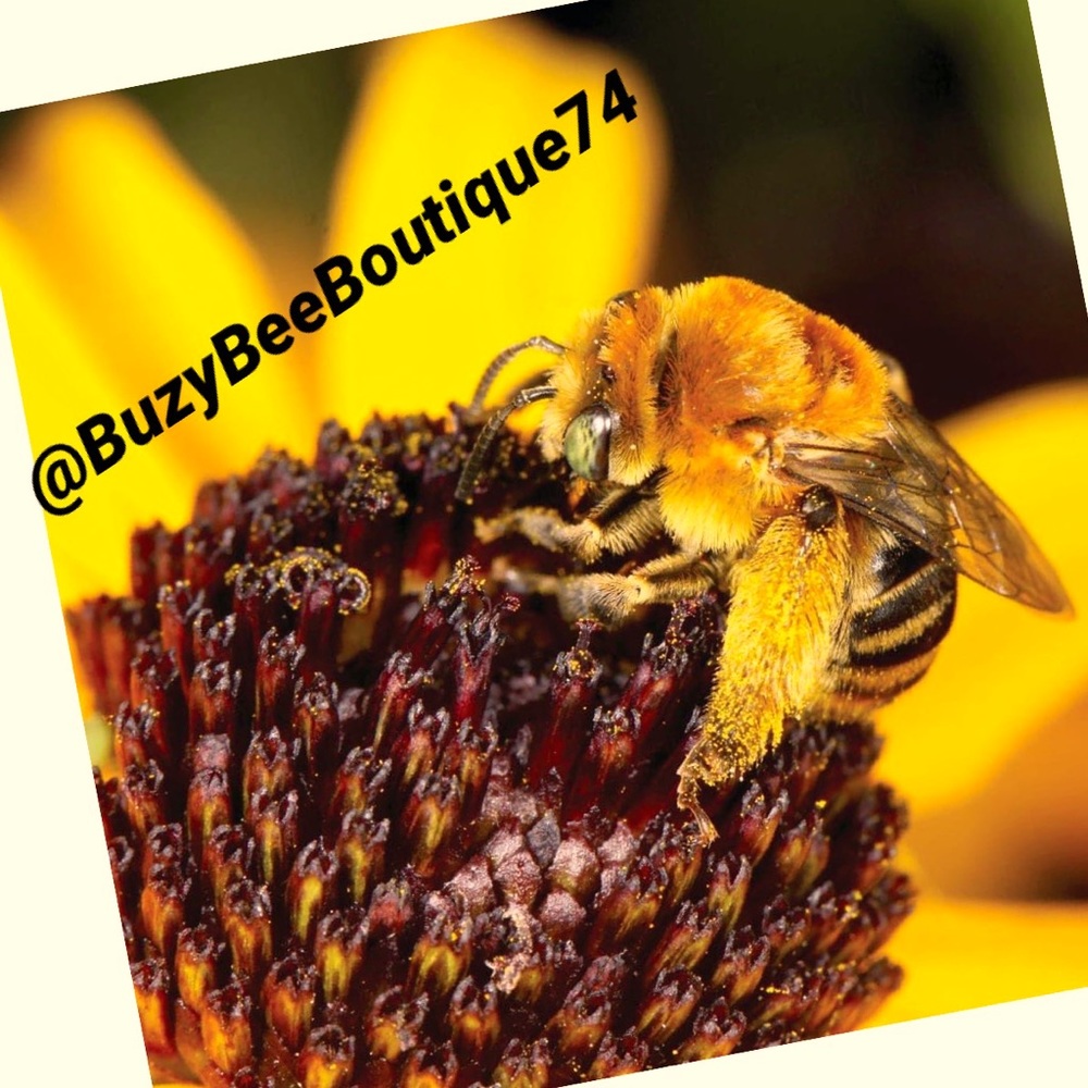 Quality.Affordability. Fashion Forward.